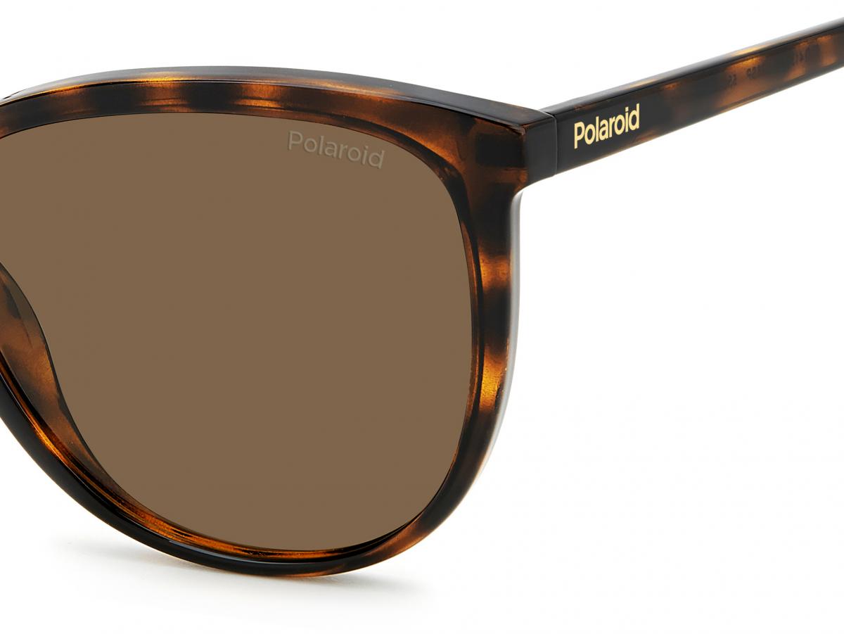  PLD 4138/S 086 55 SP HAVANA